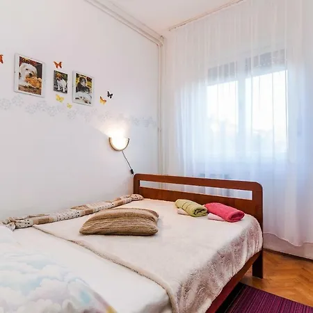 Danijel Privlaka (Zadar)