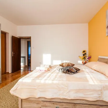 Danijel Privlaka (Zadar)